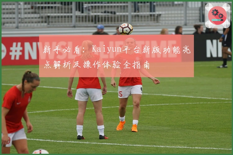 新手必看：Kaiyun平台新版功能亮点解析及操作体验全指南